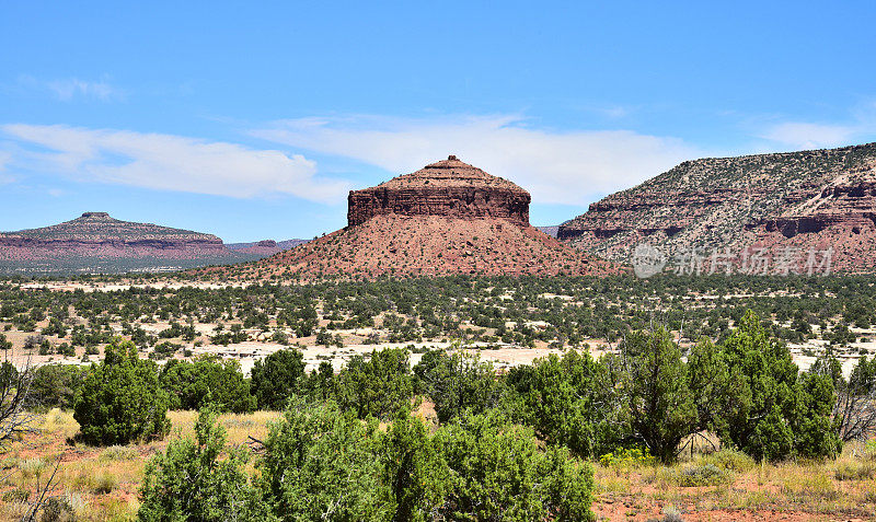 犹他州的Cheese Box Butte